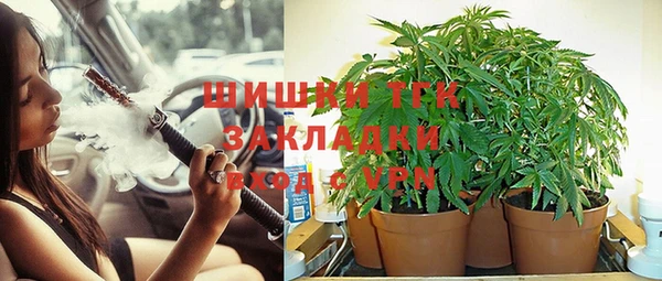 МДПВ Алексеевка